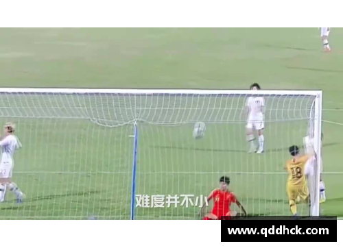 国内留洋球员：跨越国界的球场之路