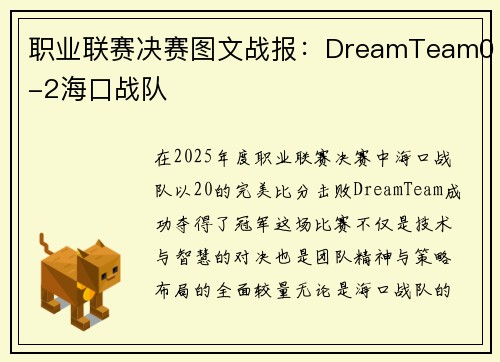 职业联赛决赛图文战报：DreamTeam0-2海口战队